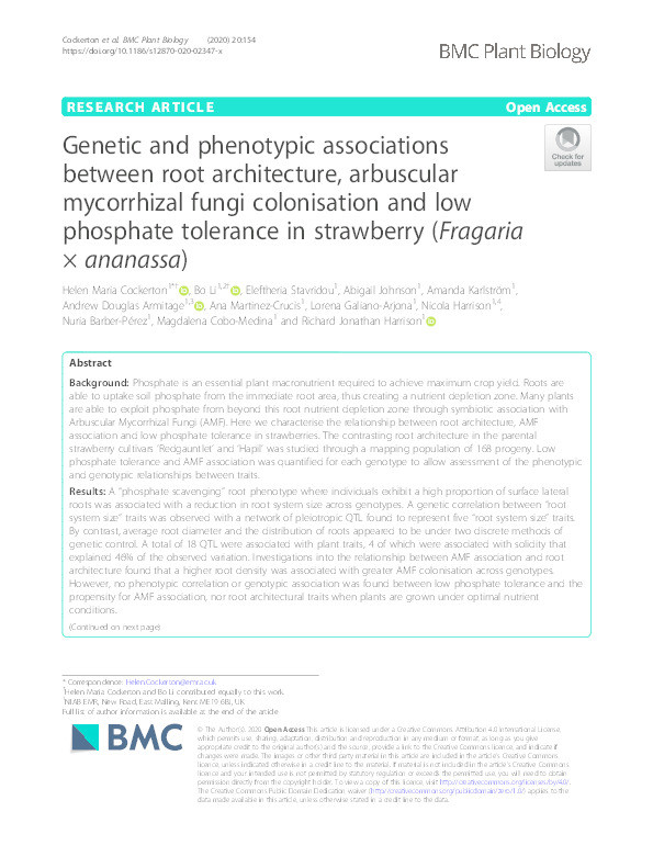 Genetic and phenotypic associations between root architecture, arbuscular mycorrhizal fungi colonisation and low phosphate tolerance in strawberry (Fragaria × ananassa) Thumbnail