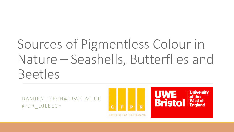 Sources of Pigmentless Colour in Nature – Seashells, Butterflies and Beetles Thumbnail