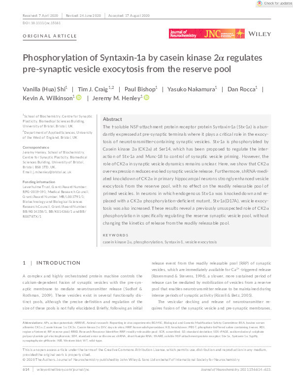 Phosphorylation of Syntaxin‐1a by casein kinase 2α (CK2α) regulates presynaptic vesicle exocytosis from the reserve pool Thumbnail