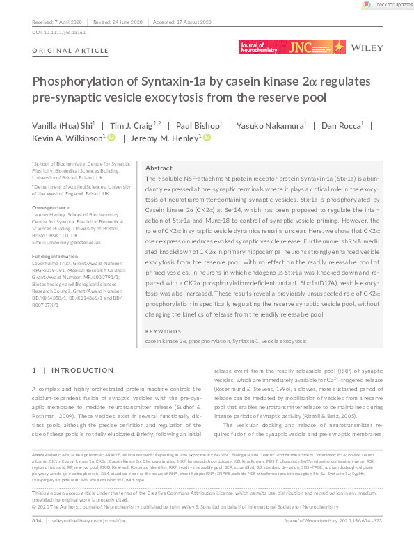 Phosphorylation of Syntaxin‐1a by casein kinase 2α (CK2α) regulates presynaptic vesicle exocytosis from the reserve pool Thumbnail