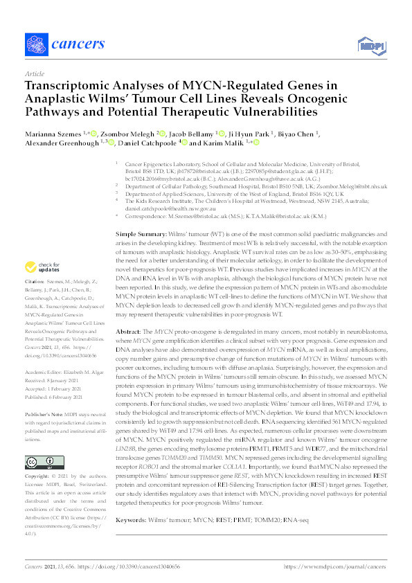 Transcriptomic analyses of MYCN-regulated genes in anaplastic Wilms' tumour cell lines reveals oncogenic pathways and potential therapeutic vulnerabilities Thumbnail