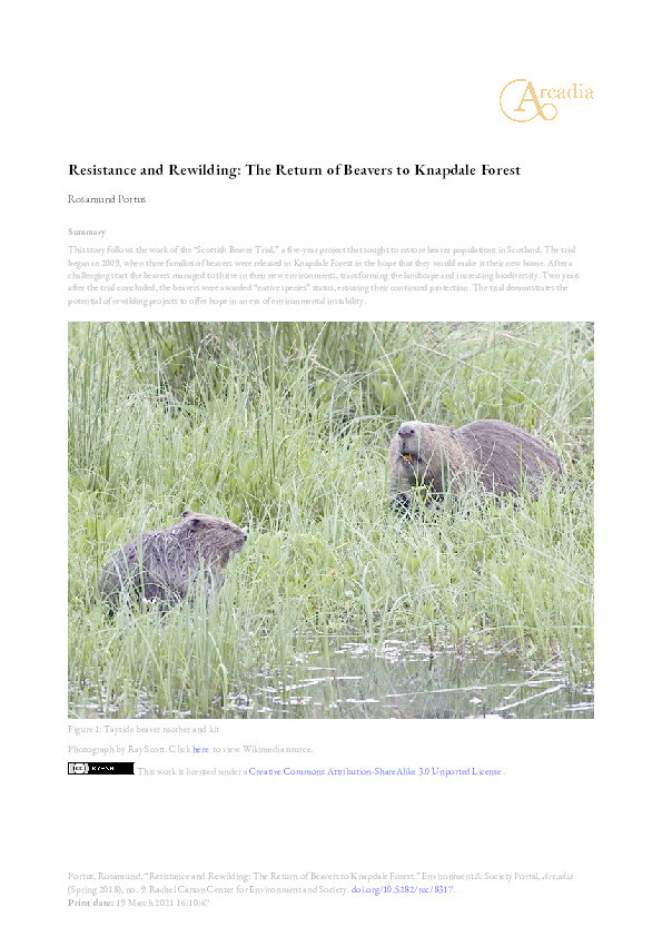 Resistance and rewilding: The return of beavers to Knapdale Forest Thumbnail