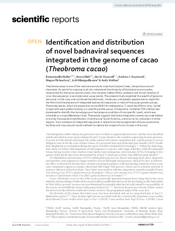 Identification and distribution of novel badnaviral sequences integrated in the genome of cacao (Theobroma cacao) Thumbnail