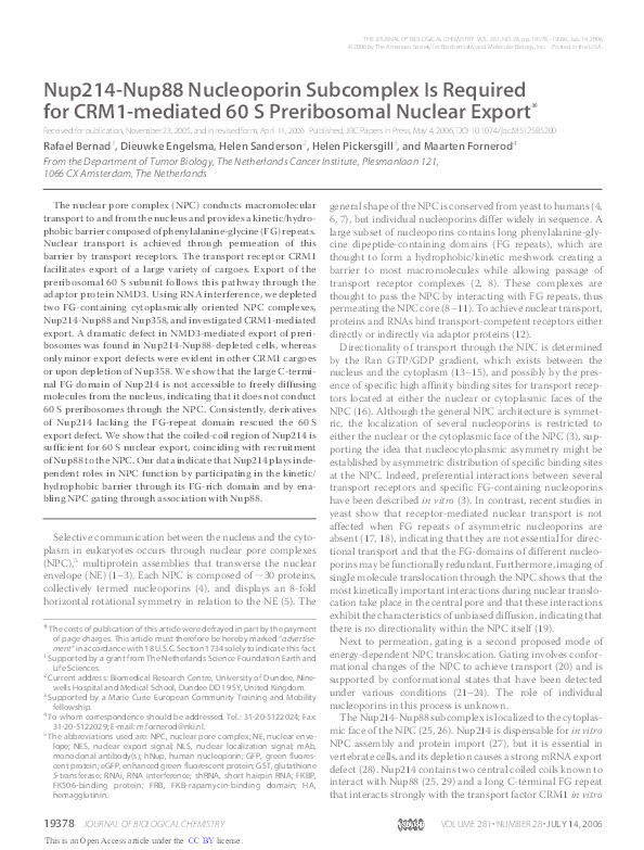 Nup214-Nup88 nucleoporin subcomplex is required for CRM1-mediated 60 S preribosomal nuclear export Thumbnail