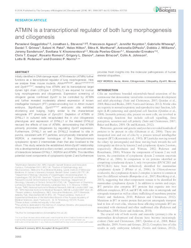 Atmin is a transcriptional regulator of both lung morphogenesis and ciliogenesis Thumbnail