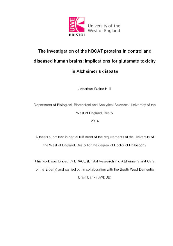 The investigation of the hBCAT proteins in control and diseased human brains: Implications for glutamate toxicity in Alzheimer’s disease Thumbnail
