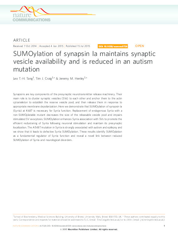SUMOylation of synapsin Ia maintains synaptic vesicle availability and is reduced in an autism mutation Thumbnail