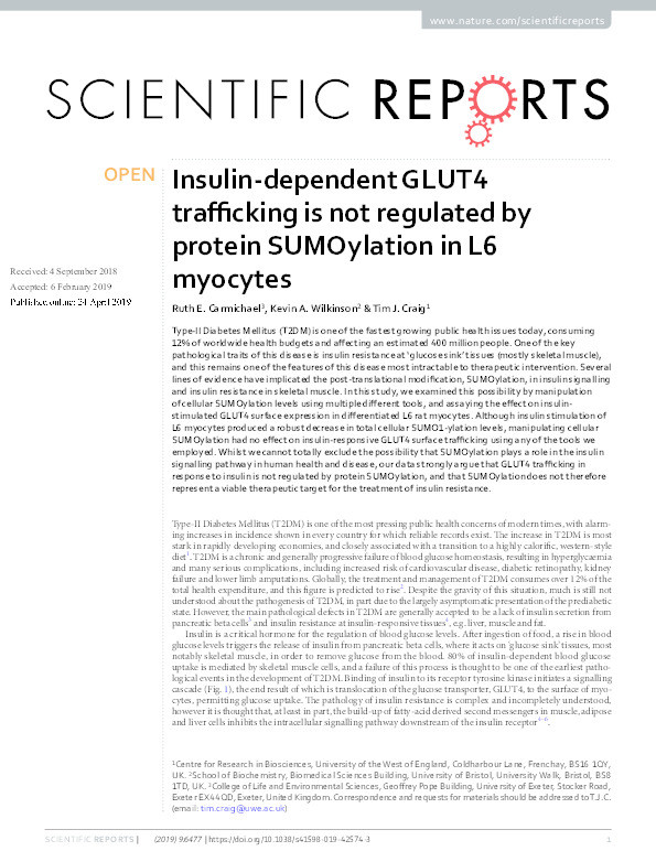 Insulin-dependent GLUT4 trafficking is not regulated by protein SUMOylation in L6 myocytes Thumbnail