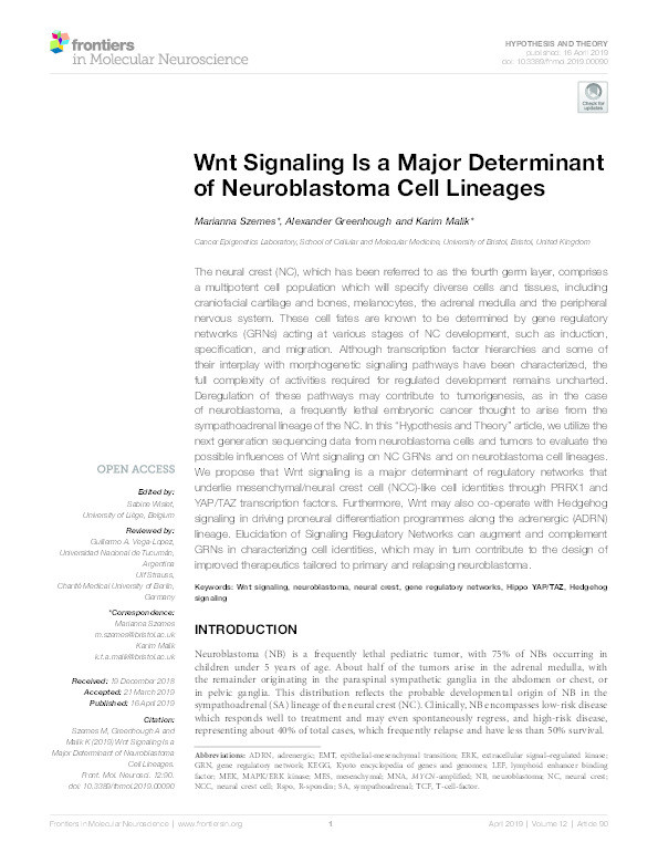 Wnt signaling is a major determinant of neuroblastoma cell lineages Thumbnail