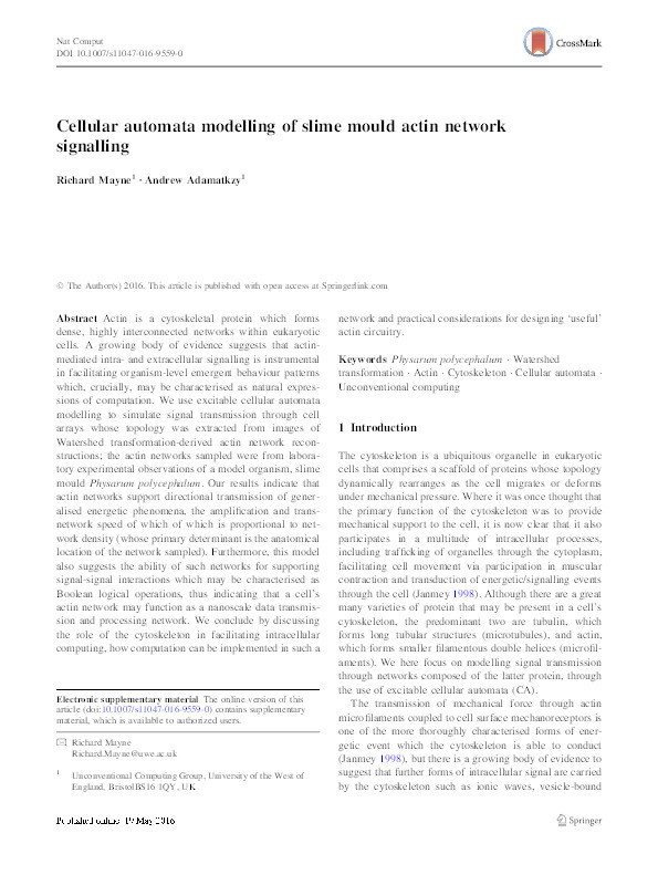 Cellular automata modelling of slime mould actin network signalling Thumbnail