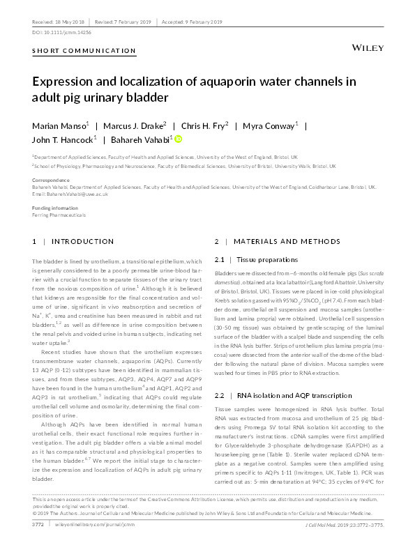 Expression and localization of aquaporin water channels in adult pig urinary bladder Thumbnail