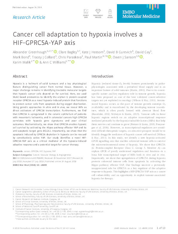 Cancer cell adaptation to hypoxia involves a HIF-GPRC5A-YAP axis Thumbnail