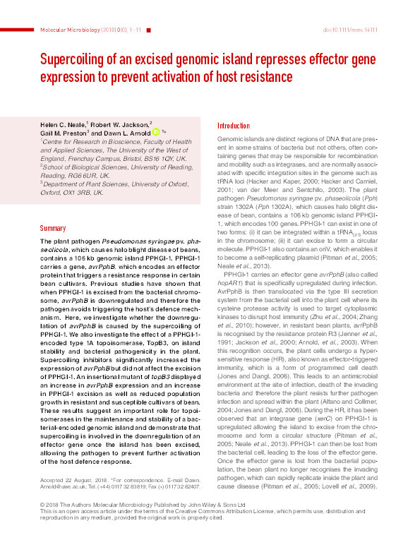 Supercoiling of an excised genomic island represses effector gene expression to prevent activation of host resistance Thumbnail
