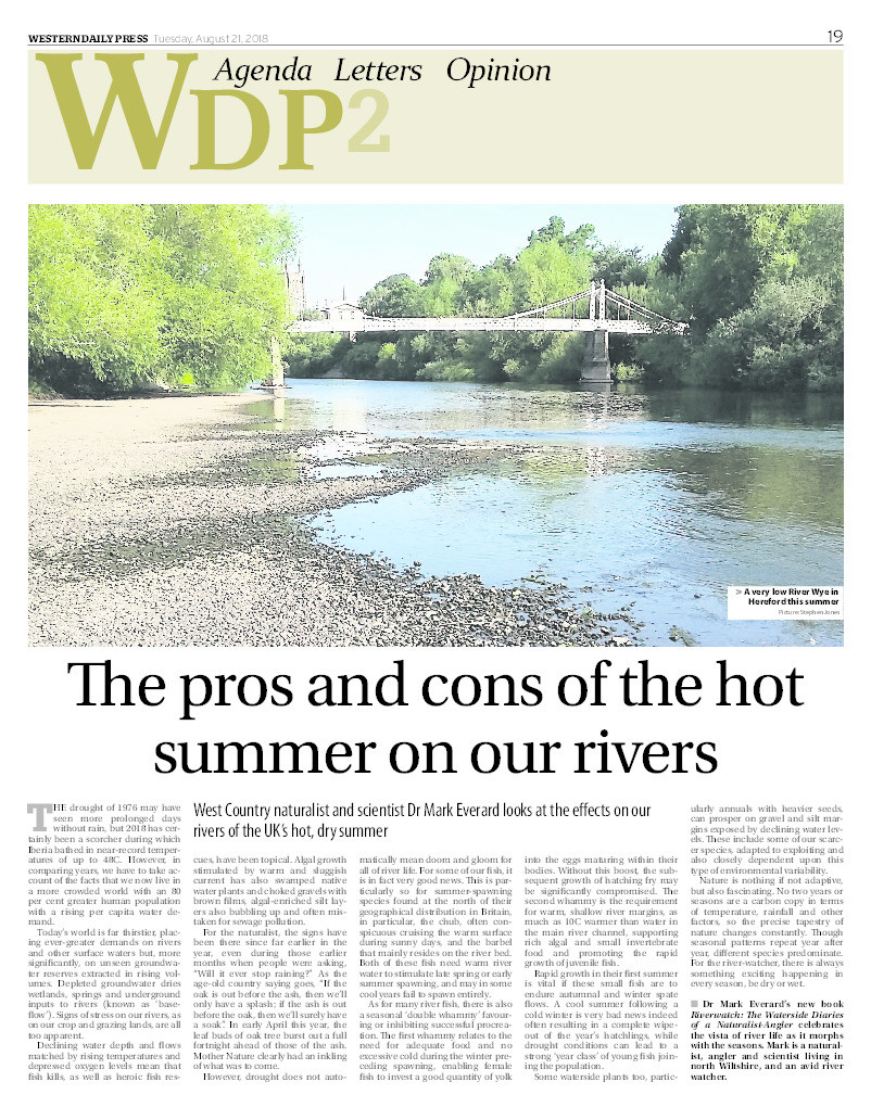 The pros and cons of the hot summer on our rivers Thumbnail