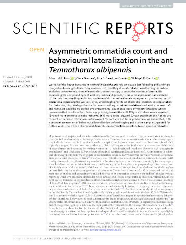 Asymmetric ommatidia count and behavioural lateralization in the ant Temnothorax albipennis Thumbnail