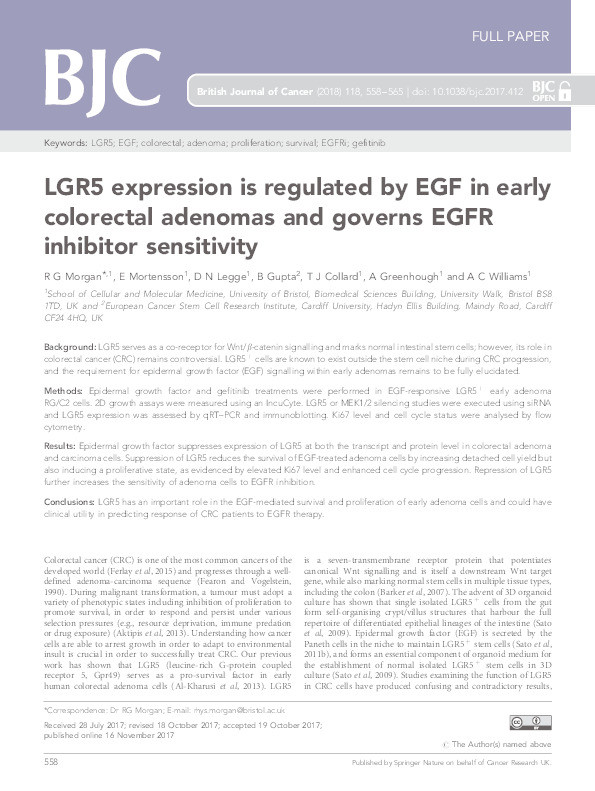 LGR5 expression is regulated by EGF in early colorectal adenomas and governs EGFR inhibitor sensitivity Thumbnail