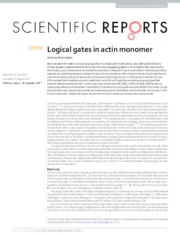 Logical gates in actin monomer Thumbnail