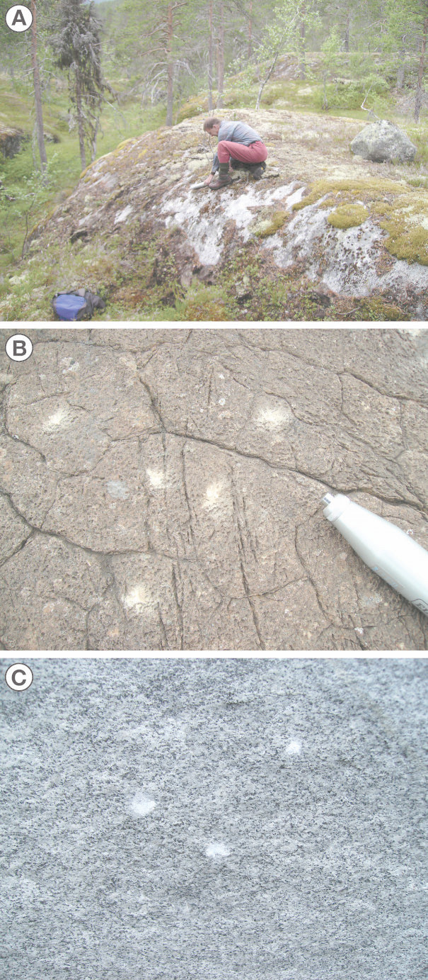 A rock-surface microweathering index from Schmidt hammer R-values and its preliminary application to some common rock types in southern Norway Thumbnail