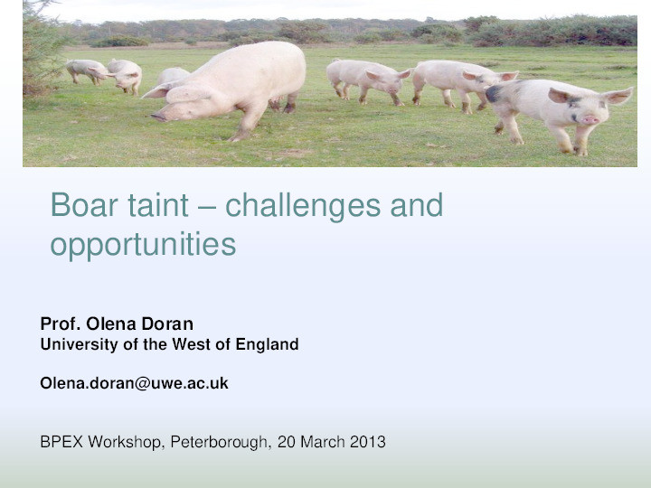 Boar taint: Challenges and opportunities Thumbnail