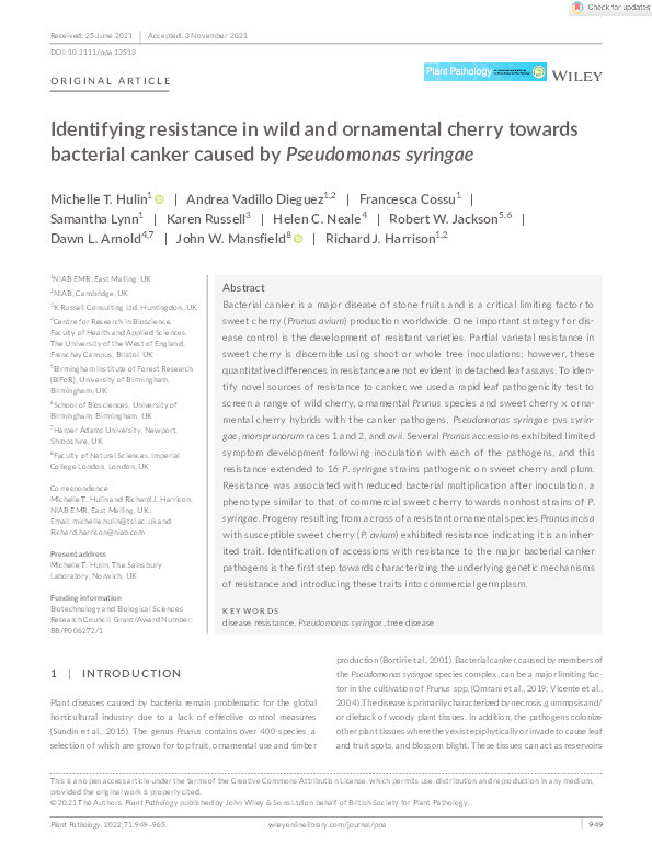 Identifying resistance in wild and ornamental cherry towards bacterial canker caused by Pseudomonas syringae Thumbnail